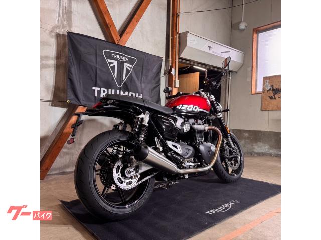 TRIUMPH 1200/2025//105/112Nm//USB — миниатюра 6