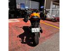 タイガースポーツ800 2025モデル