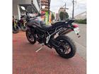 タイガー900GT PRO 2025モデル