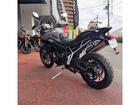 タイガー900GT PRO 2025モデル