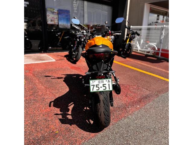 タイガースポーツ800 2025モデル