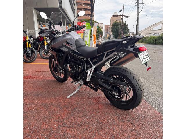タイガー900GT PRO 2025モデル