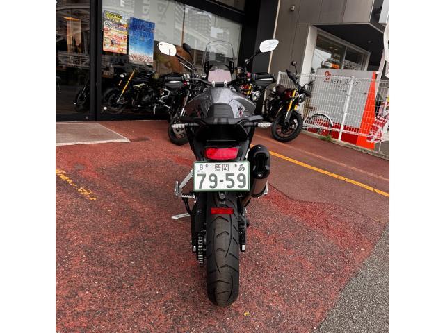 タイガー900GT PRO 2025モデル