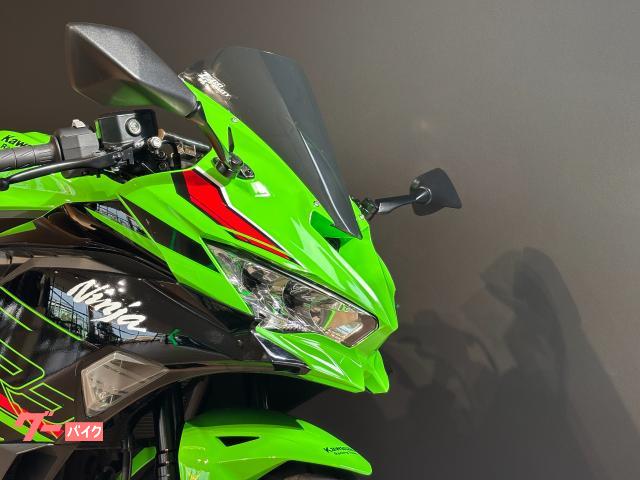 カワサキ Ninja ZX－4RR トリックスターマフラー フレーム
