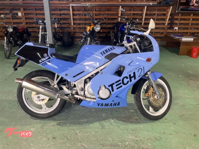 ＦＺＲ２５０　ｔｅｃｈ２１　限定カラー