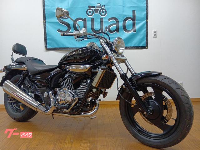 エリミネーター２５０Ｖ　２００５年式／ＶＮ２５０Ａ／エボニー／Ｖツイン／水冷／バックレスト／社外ウィンカー