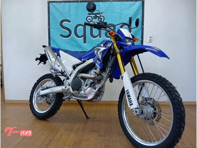 ヤマハ WR250R 2009年モデル／ディープパープリッシュブルー