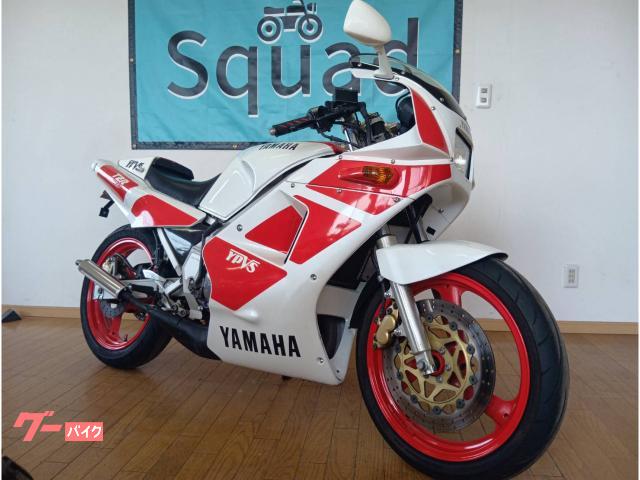 ＴＺＲ２５０　１９８８年モデル／２ＸＴ／最終型／
