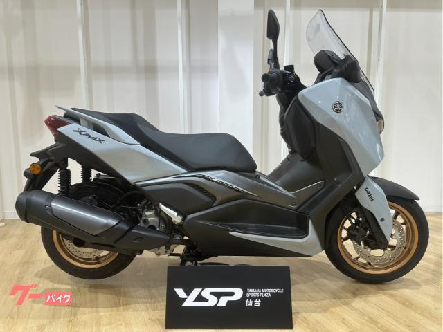 Ｘ−ＭＡＸ２５０