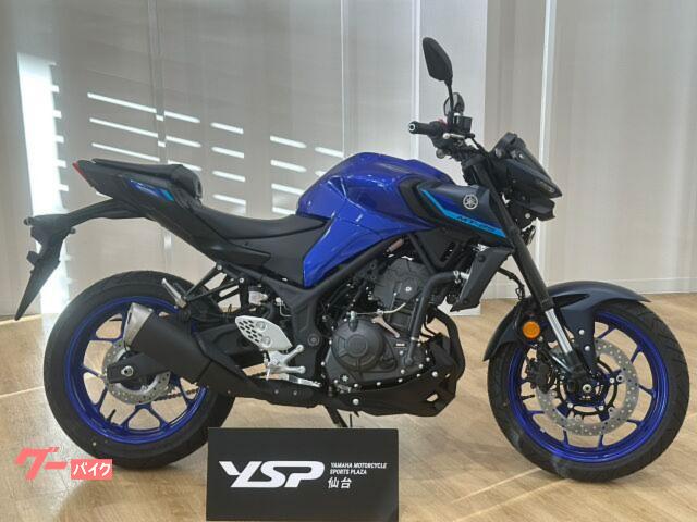 ＭＴ−２５