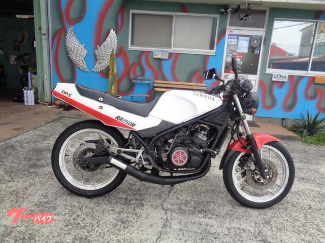 ヤマハ RZ250R 1986年モデル 29L 社外集合管チャンバー