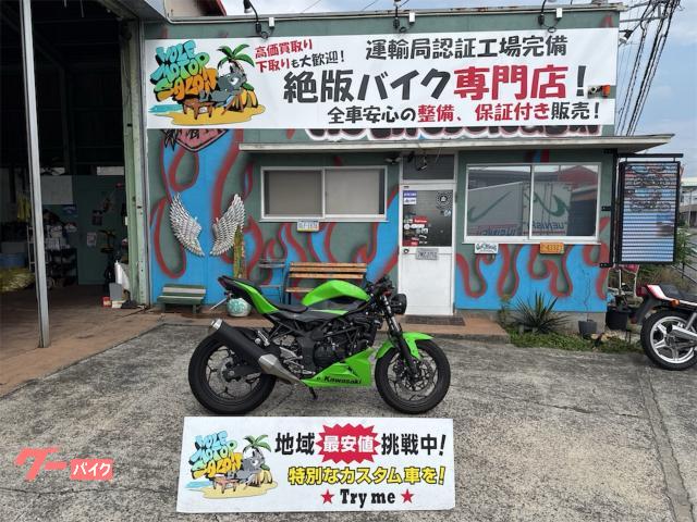 Ｎｉｎｊａ　２５０ＳＬ　丸目ＬＥＤヘッドライト　ネイキッド仕様　セパハン　アンダーカウル　保証付き