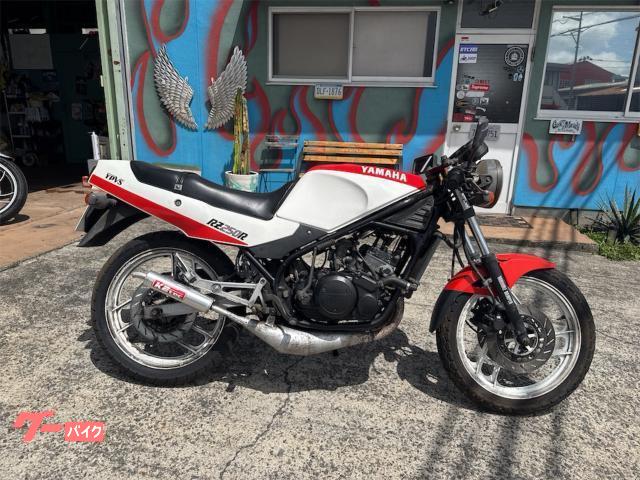 ヤマハ RZ250R K2テックツインチャンバー セパハン