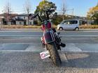 ＨＡＲＬＥＹ－ＤＡＶＩＤＳＯＮ ＦＸＤＢＢ　ストリートボブリミテッド　カスタムペイント　トライジャ製シート　オーリンズ製サスペンション　２ｉｎ１マフラー　保証付きの画像（愛媛県