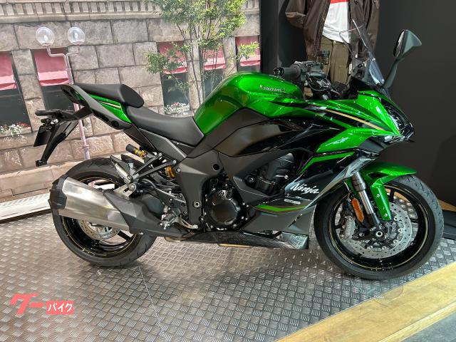 Ｎｉｎｊａ　１１００　ＳＸ　ＳＥ