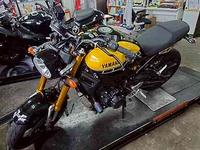 XSR900 F֥졼ѥåɸ򴹡Хåƥ꡼