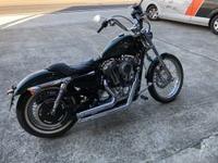 XL1200V塼˥󥰡