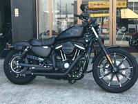 Iron883 &塼˥󥰡