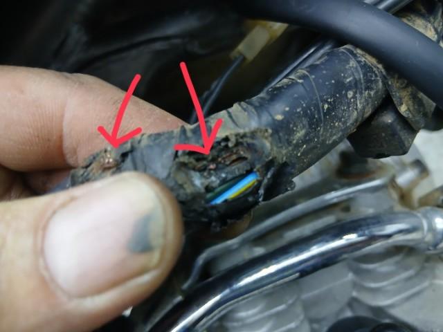 他にも４本ほど損傷がみられました