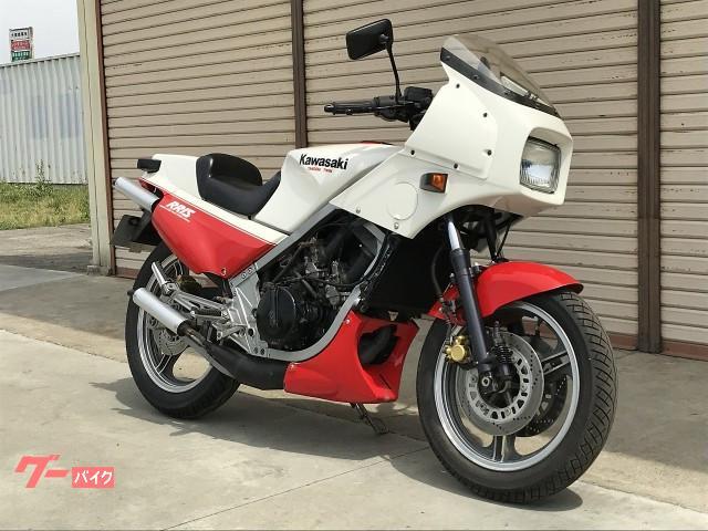 カワサキ（KAWASAKI） KR250の型式・メンテナンス・点検・整備-バイク