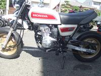 Ｍｏｔｏ　ＡＬＥＸ　モトアレックス