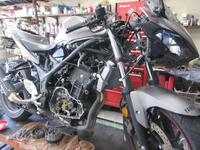 オートセイリョウ