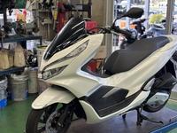 PCX ưɤν