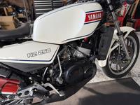 ＲＺ２５０　修理