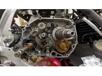 レンタルバイク神戸