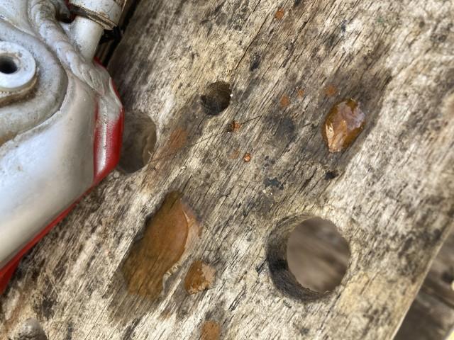 錆びた水が出てきます。ここで予感は的中。