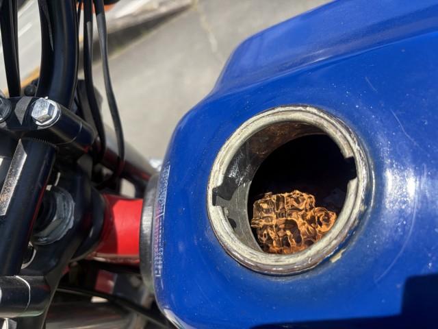 ガソリン満点テスト済