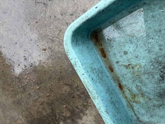なぜか茶色い「水」も出てきます。