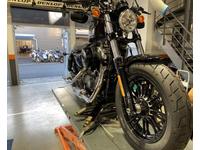 XL1200X եƥȡݡĥࡡޥå奨󥸥󥬡ɡϡ졼ӥåɥ󡡥ϡ졼ӥåɥߡХץ饶ޥΡ߱