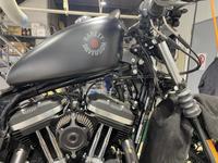 XL883N IRON883 ݡĥեߥ꡼ࡡʥСȥ󥹥եϡ졼ӥåɥ󡡳ҥХץ饶ޥΡϡ졼ӥåɥ