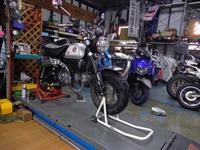 ＧＴピーターパン