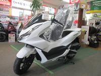 ＰＣＸボディーマウントシールドプレゼント