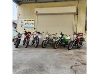 株式会社ピキピキ