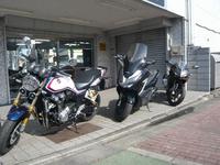 ホンダドリーム練馬 東京都練馬区のバイク販売店 新車 中古バイクなら グーバイク